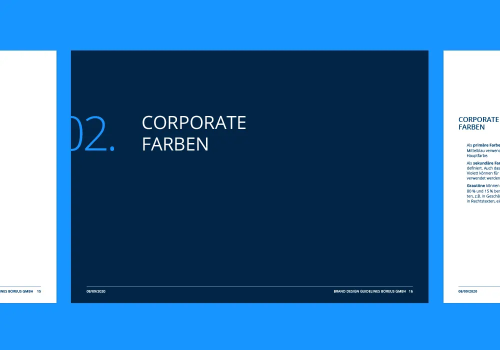 Corporate Farben und Infografiken im Styleguide von Boreus